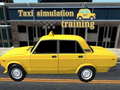 Žaidimas Taxi simulation training