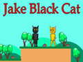 Žaidimas Jake Black Cat