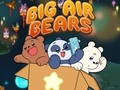 Žaidimas Big Air Bears