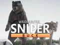 Žaidimas Wild Hunter sniper buck