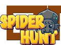 Žaidimas Spider Hunt