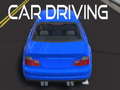 Žaidimas Car Driving