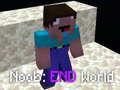 Žaidimas Noob: End World