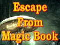 Žaidimas Escape From Magic Book