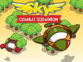 Žaidimas Sky Combat Squardom