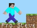 Žaidimas Pro Steve