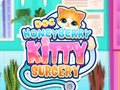 Žaidimas Doc HoneyBerry Kitty Surgery