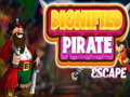 Žaidimas Dignified Pirate Escape