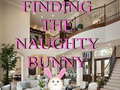 Žaidimas Finding The Naughty Bunny
