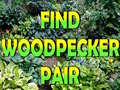 Žaidimas Find Woodpecker Pair 