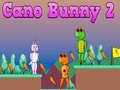 Žaidimas Cano Bunny 2