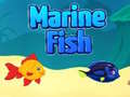 Žaidimas Marine Fish