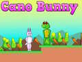 Žaidimas Cano Bunny