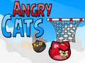 Žaidimas Angry Cats