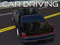 Žaidimas Car Driving