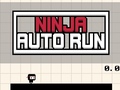 Žaidimas Ninja Auto Run