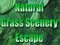 Žaidimas Natural Grass Scenery Escape