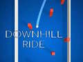 Žaidimas Down Hill Ride