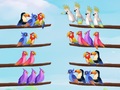 Žaidimas Bird Sort Puzzle