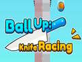 Žaidimas Ball Up: Knife Racing 