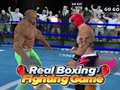 Žaidimas Real Boxing Fighting Game