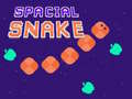 Žaidimas Spacial Snake