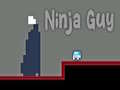 Žaidimas Ninja Guy
