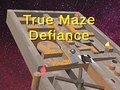 Žaidimas True Maze Defiance
