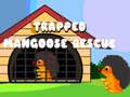 Žaidimas Trapped Mangoose Rescue