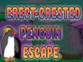 Žaidimas Erect Crested Penguin Escape