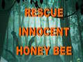 Žaidimas Rescue Innocent Honey Bee 