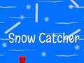 Žaidimas Snow Catcher