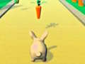 Žaidimas Rabbit Runner