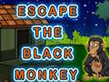 Žaidimas Escape The Black Monkey