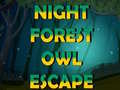 Žaidimas Night Forest Owl Escape