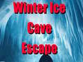 Žaidimas Winter Ice Cave Escape