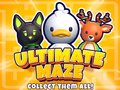 Žaidimas Ultimate Maze! Collect Them All!