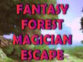 Žaidimas Fantasy Forest Magician Escape