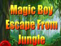 Žaidimas Magic Boy Escape From Jungle