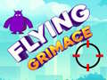 Žaidimas Flying Grimace