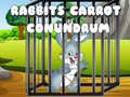 Žaidimas Rabbits Carrot Conundrum