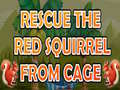 Žaidimas Rescue The Red Squirrel From Cage