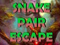 Žaidimas Snake Pair Escape