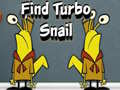 Žaidimas Find Turbo Snail