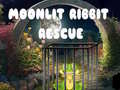 Žaidimas Moonlit Ribbit Rescue