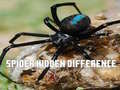 Žaidimas Spider Hidden Difference