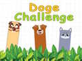 Žaidimas Doge Challenge
