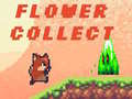 Žaidimas Flower Collect