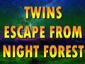 Žaidimas Twins Escape From Night Forest