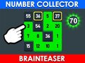 Žaidimas Number Collector: Brainteaser